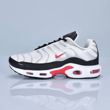Кроссовки Nike Air Max TN арт 6215