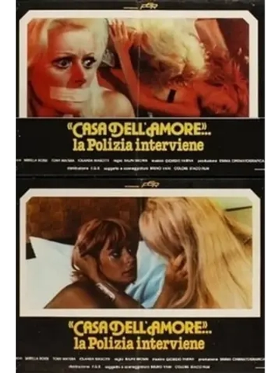 Дом любви полиция вмешивается (1978) (DVD-R)