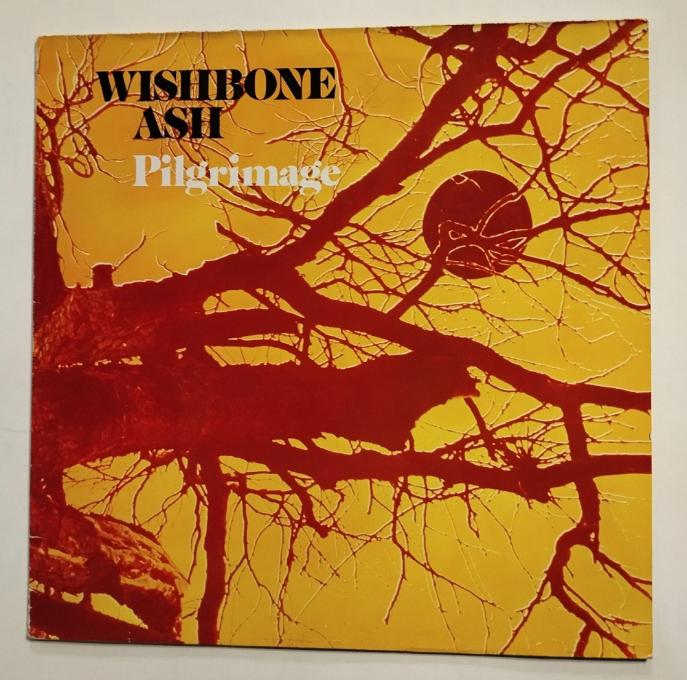 Винтажная виниловая пластинка LP Wishbone Ash Pilgrimage (Germany 1985)