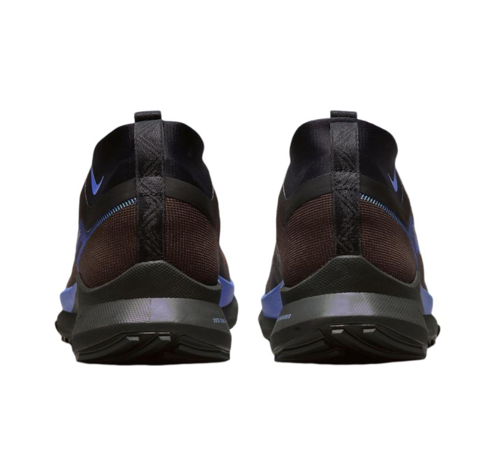 Мужские кроссовки Nike Pegasus Trail 4 Gore-tex 'Brown Black Blue' FB2193-200