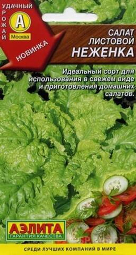Салат Неженка 0,5гр Аэлита