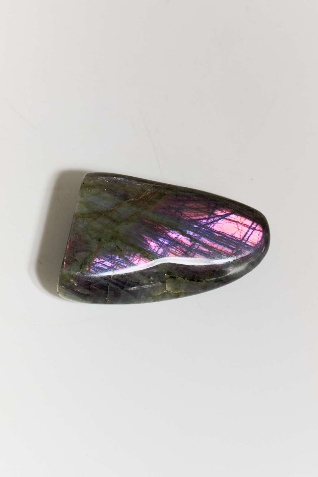 Срез Лабрадора S