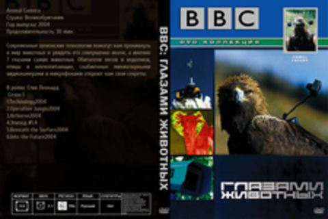 BBC: Глазами животных
