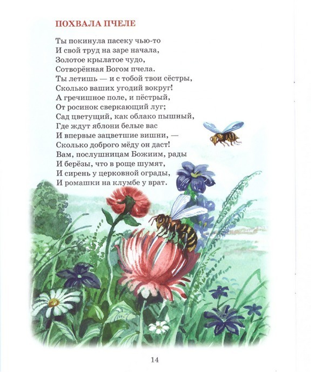 Это чудо из чудес. Монах Лазарь (Афанасьев)