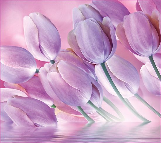 Фотообои ВЕСЕННЯЯ АКВАРЕЛЬ А096 294х260 VIP VOSTORG