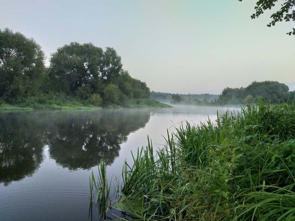 Ловля леща фидером на реке в начале осени