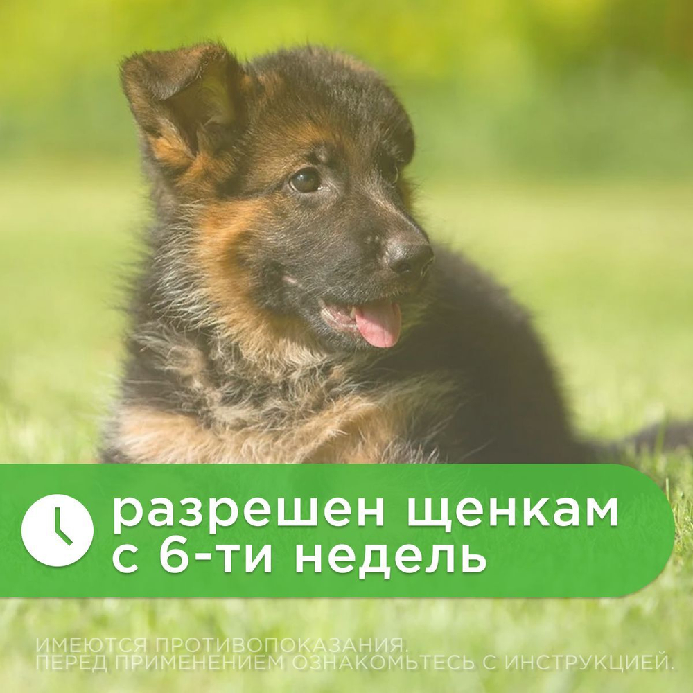 АВЗ Оквет / OKVET ExpressTabs для Собак 15-30кг Таблетки для собак 15-30кг от клещей, блох, вшей, круглых и ленточных гельминтов