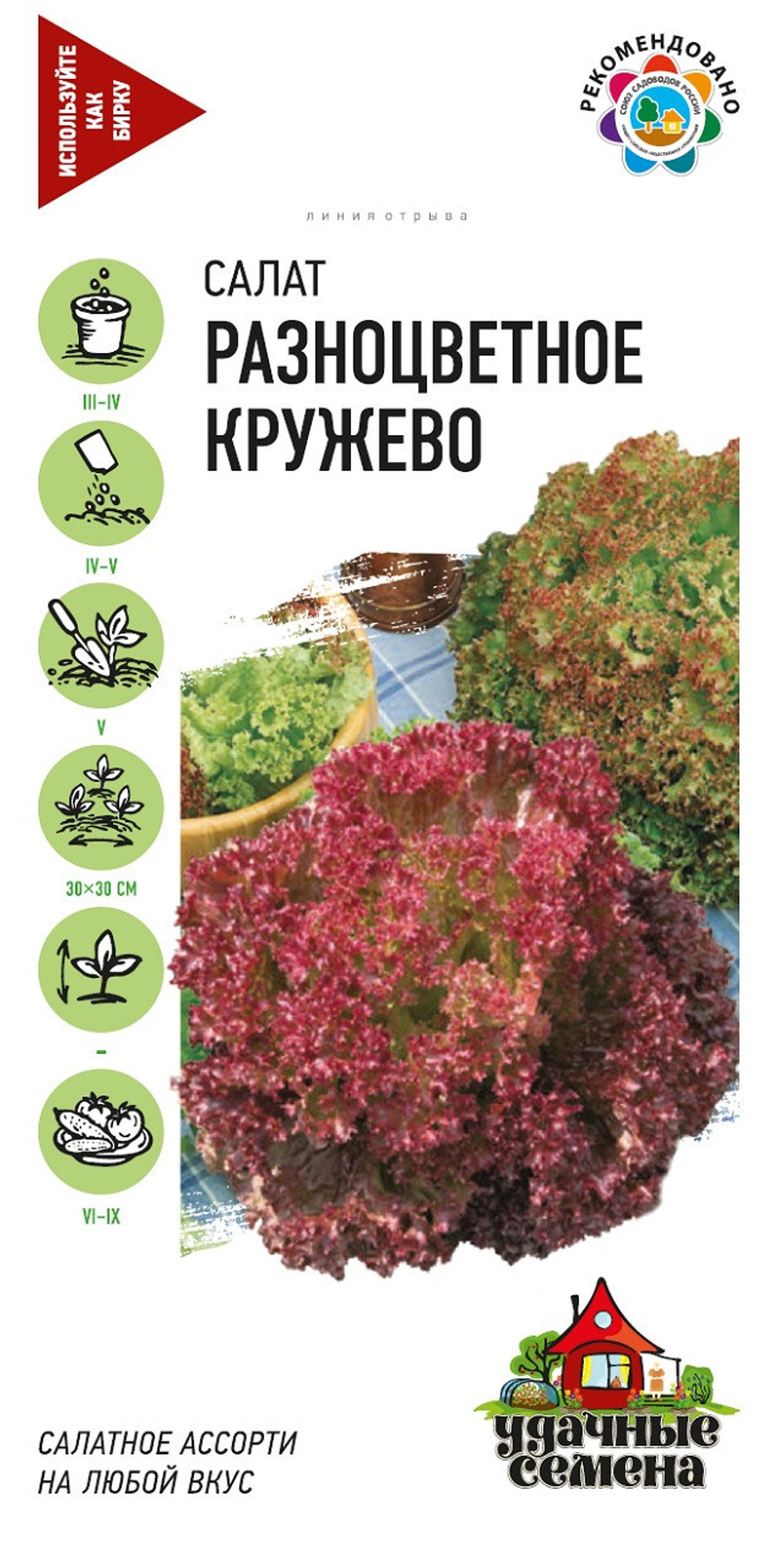 Салат Разноцветное кружево