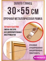 Алюминиевая рамка 30х55 см