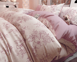 Постельное белье СайлиД B-502 сатин