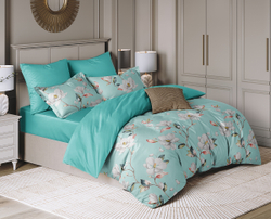 Постельное белье СайлиД BN-001 сатин