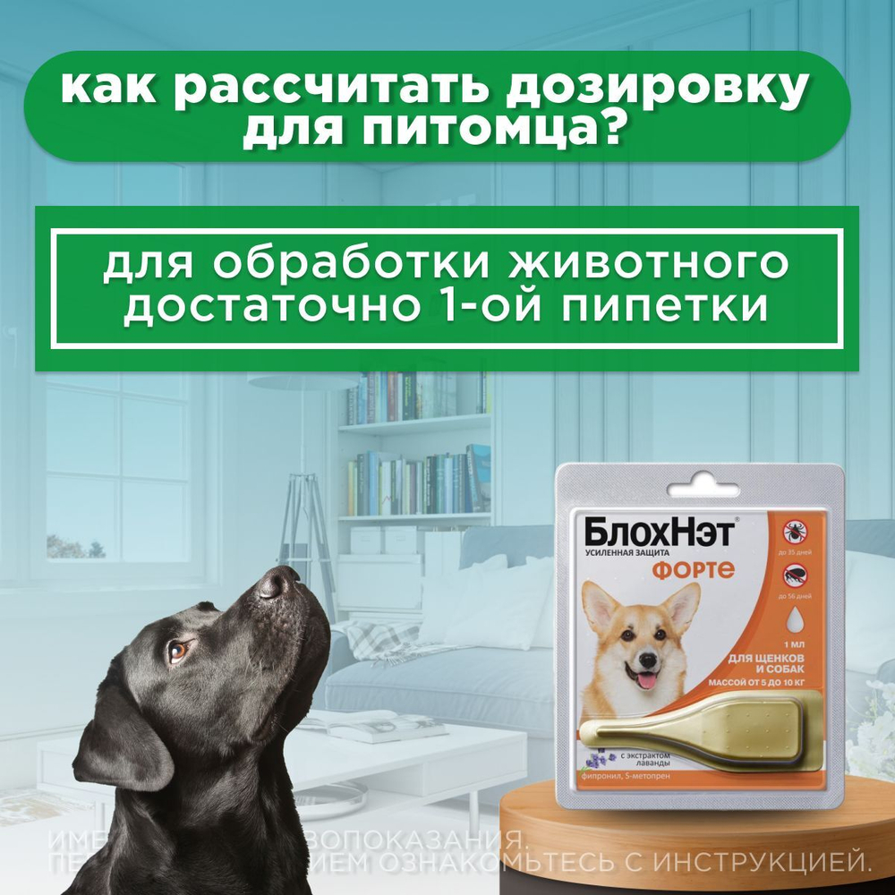 Капли для щенков и собак от 5кг до 10кг от блох, клещей, вшей, власоедов, а так же для лечения ушной чесотки и предотвращения нападения комаров БлохНэт Форте (Астрафарм), 1пипетка