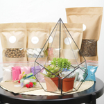 Набор для создания флорариума с суккулентами Капля