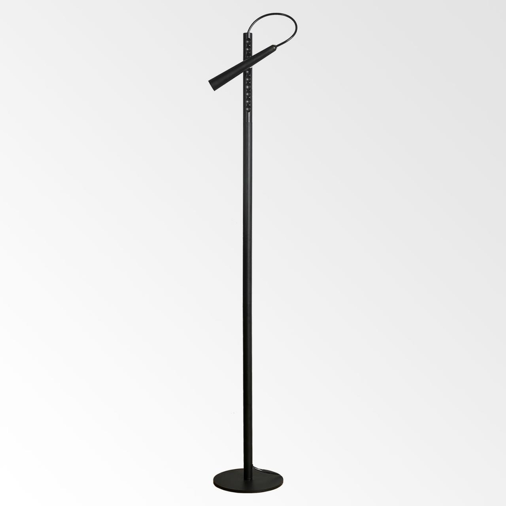 Торшер светодиодный Lussole  Dawson LSP-0576