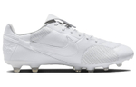 Кроссовки Nike Premier 3