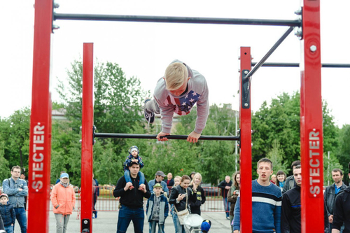 Мобильный комплекс для Воркаут и ГТО Стандарт-10