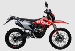 Мотоцикл ATAKI S004 300 (4T PR300) ПТС 21/18 (2024 г.), красный