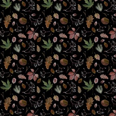 Осенние листья на черном