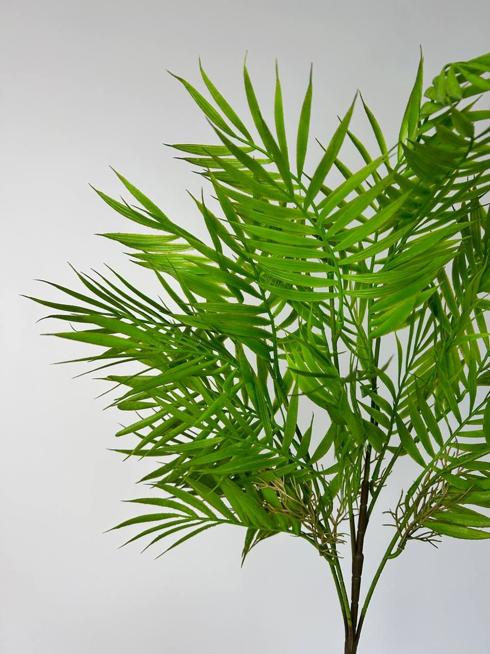 Бамбуковый куст / Арт 5012