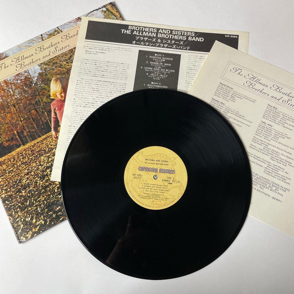Винтажная виниловая пластинка LP The Allman Brothers Band Brothers And Sisters (Japan 1979) (No Obi)