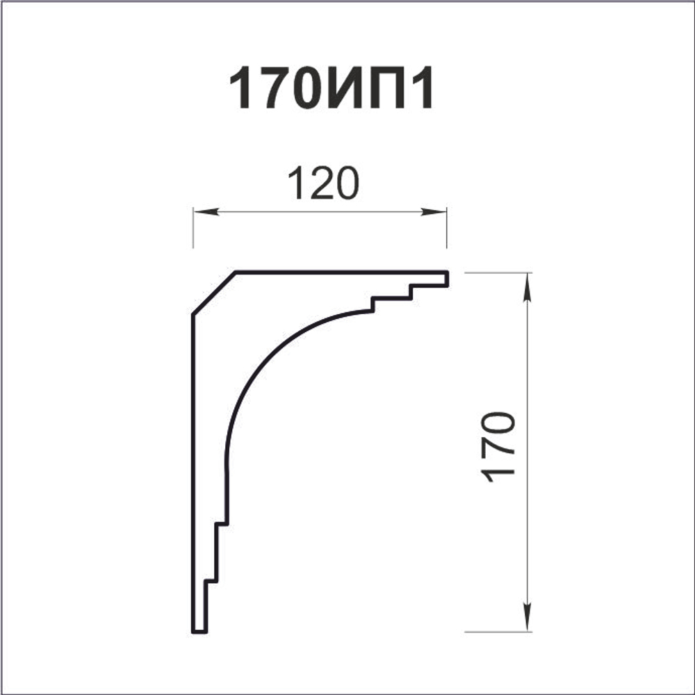 170ИП1