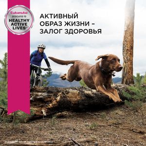 Корм для взрослых собак крупных пород, Eukanuba Dog LARGE ADULT