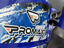 Квадроцикл PROMAX ATV 250 MAX (2025)