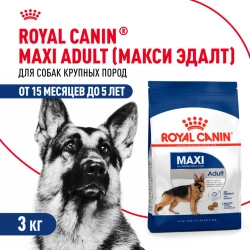 Royal canin maxi adult сухой корм для взрослых собак крупных пород - 3 кг