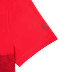 Мужское теннисное поло Lacoste Tennis x Novak Djokovic Shirt - красный