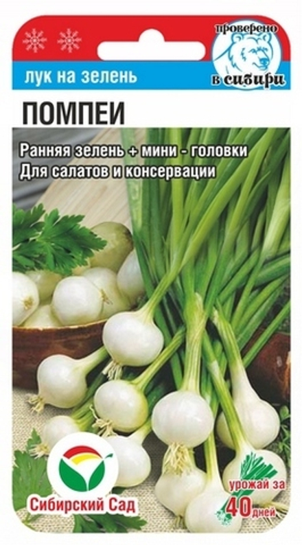 Лук на зелень Помпеи 0,5гр Сибсад