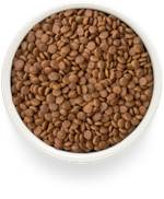 GRANDORF FRESH Свежее мясо утки с бататом для взрослых кошек