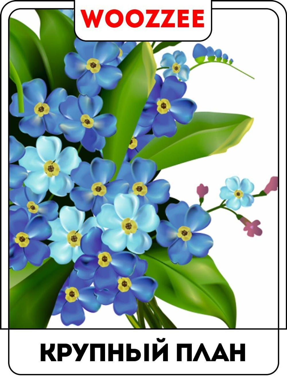 Наклейка декоративная А3 "Букет незабудок"