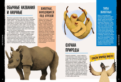 Мир вокруг тебя. Эти невероятные животные!