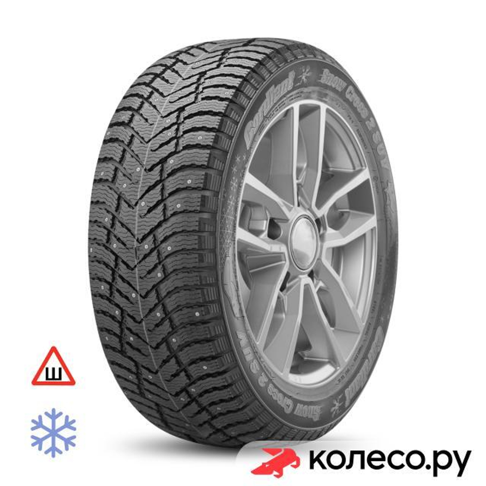 Snow Cross 2 205/50 R17 93T