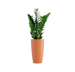 Кашпо, коллекция Classic, форма CONUS