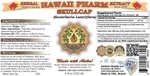 Hawaii Pharm - Skullcap 120 ml