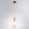 Подвесной светильник Arte Lamp Aries A8983SP-1PB