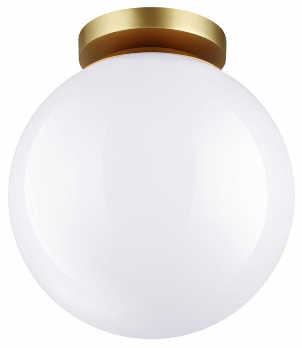 Накладной светильник Odeon Light 4248/1C