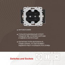 Розетка двойная с заземлением, без рамки Arte Milano am-206 206.40-2.shampan