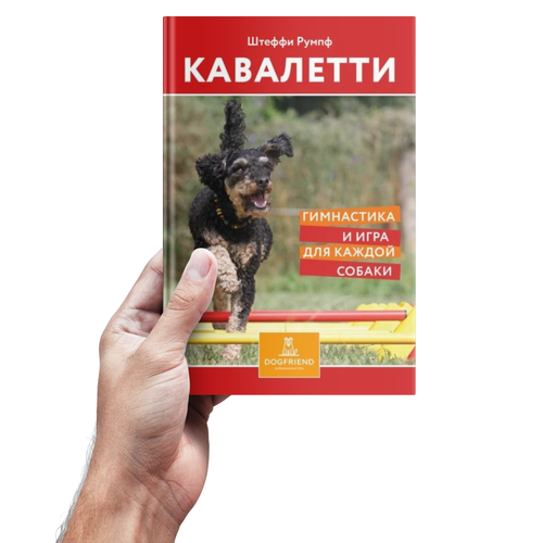 Штеффи Румпф. Кавалетти. Гимнастика и игра для каждой собаки
