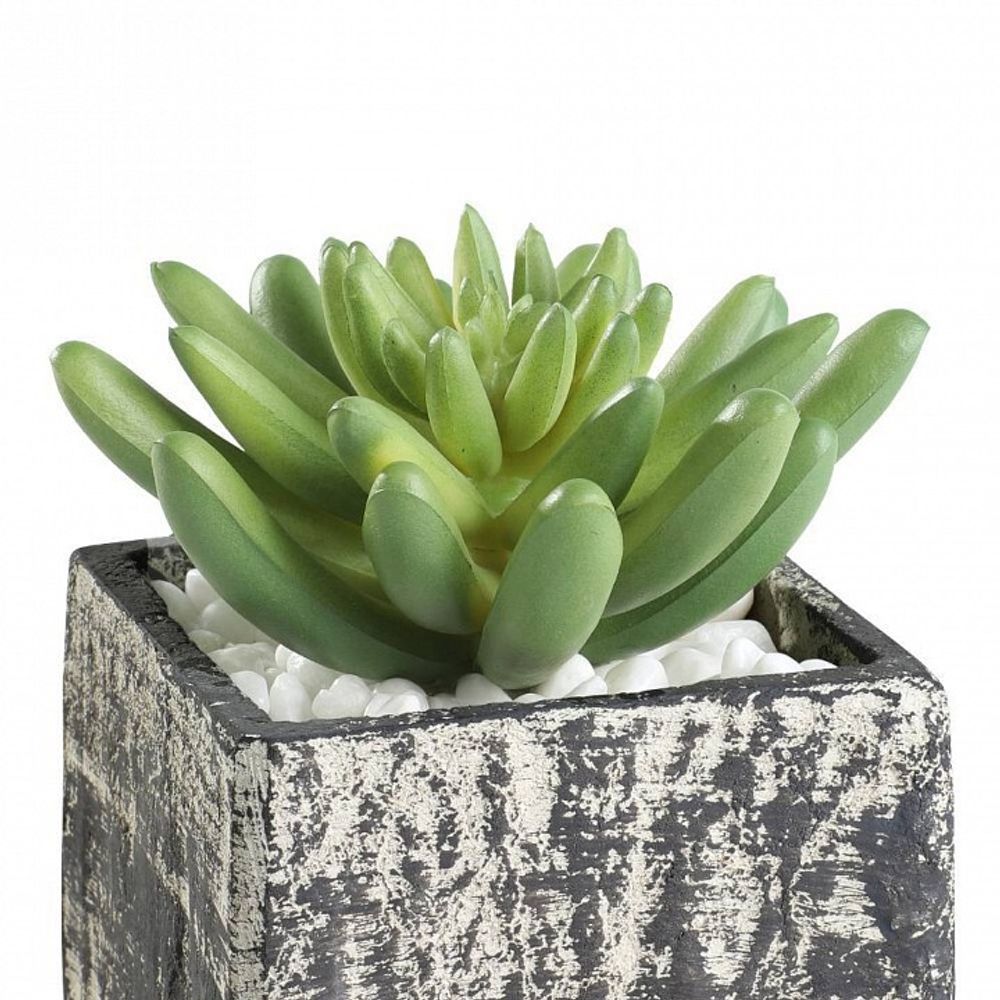 Растение в горшке Eglo Chitose 428007