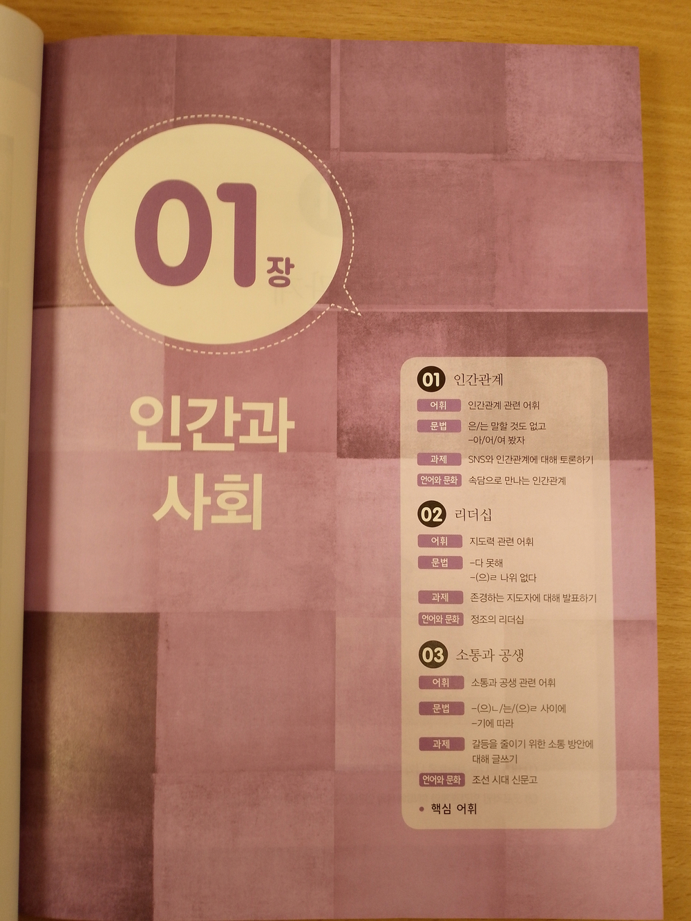 Master Korean. C1 (Advanced) 6 Book with mp3 audio / Учебник корейского языка "Master Korean", Продвинутый уровень. Часть 6 - Книга с QR кодом для загрузки аудиосопровождения