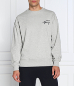 Худи Tommy Jeans - серый(DM0DM15206)