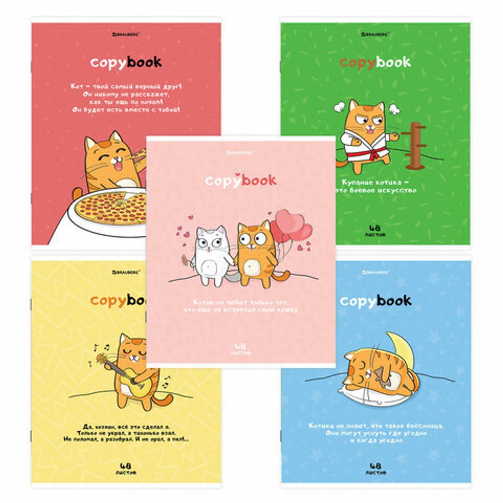 Тетрадь А5, 48 л., BRAUBERG, скоба, клетка, обложка картон, "Кот-Энтузиаст", 404365, 5шт