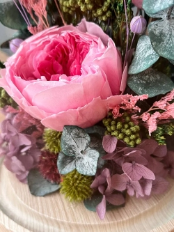 натуральные пионы в колбе