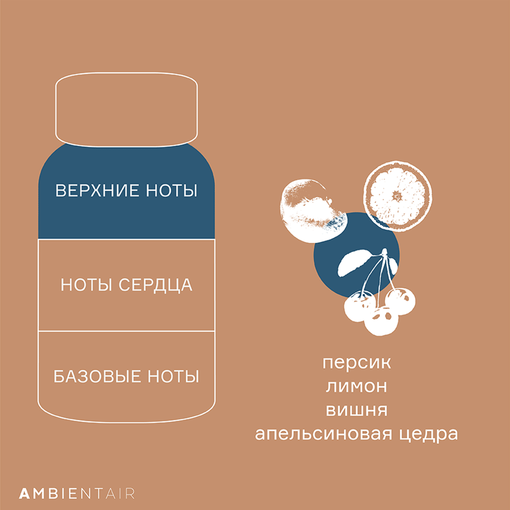 Диффузор ароматический 100мл Ambientair Gifting Печенье и ягоды