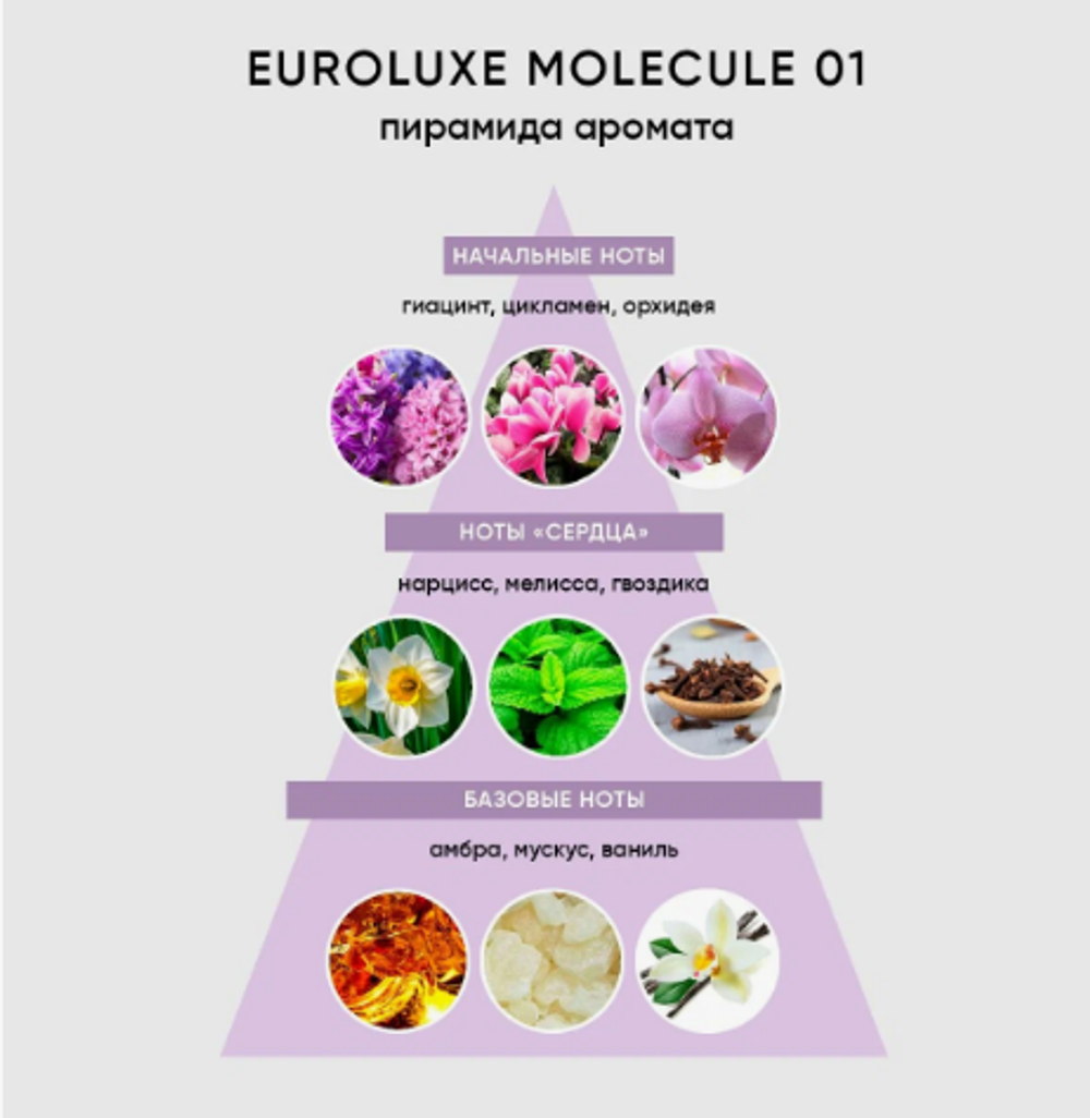 Euroluxe/Туалетная вода М(о)lecule 01 55 мл/ Парфюм женский, парфюм, женский, духи, туалетная вода, парфюмерия, для женщин, подарок, молекула, цветочные, мускус