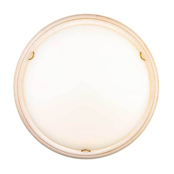 Настенно-потолочный светодиодный светильник Sonex Snok Provence 7605/DL