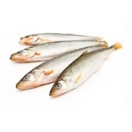 Корюшка с/м н/р 16+ "Босантур-2" 1/20кг