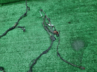 Проводка переднего бампера Audi A8 4 D5 (2017-н.в.)